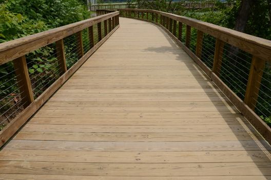 wooden boardwalk or trail or path with railing and green plants