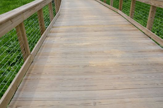 wooden boardwalk or trail or path with railing and green plants