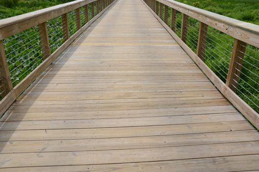 wooden boardwalk or trail or path with railing and green plants