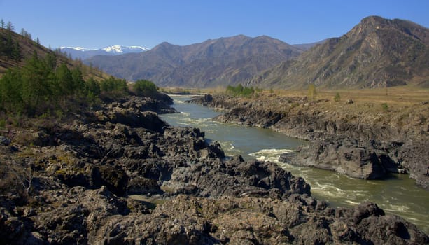 The mountain river Katun carries its turquoise waters through the rocky shores and steep cliffs of the Altai Mountains. Siberia, Russia.