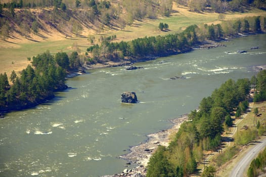 Stone island in the center of the bed of a mountain river. Altai, Siberia, Russia.