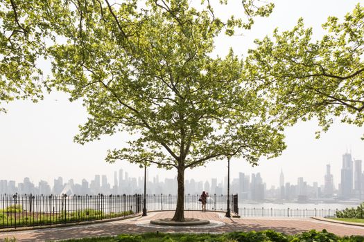 New York City midtown Manhattan skyline panorama view from Boulevard East Hamilton Park over Hudson River. Big tree in Hamilton Park promenade.