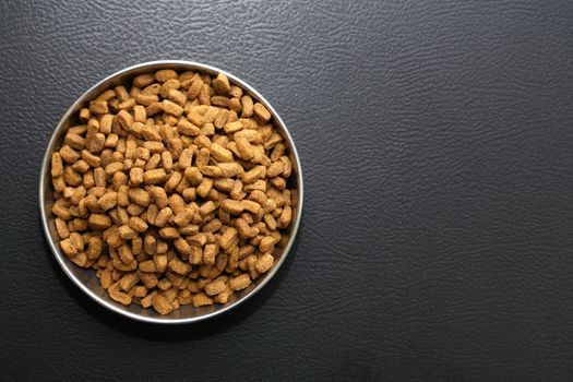 Bowl with dry food for domestic animals on black ceramic floor