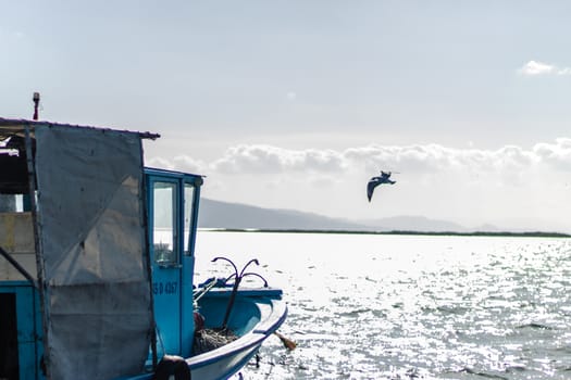a good looking seascape shoot with some wooden boats - a bird flying. photo has taken at izmir/turkey.