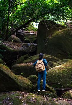back view photo of girl backpacker travel in rainforest