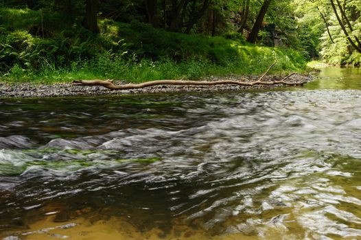 Beautiful and clean river Kamenice flowing through the woods and rocks