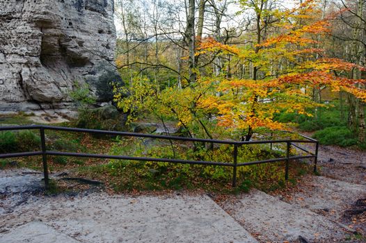 Autumn landscape - rocks, forests - all beautifully colored