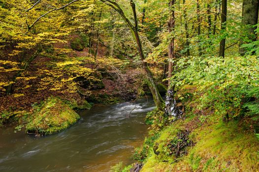 A beautifully clean river flowing through a colorful autumn forest