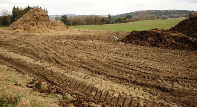 Spring landscape with mud and manure rutted agricultural machinery