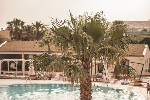 Decoration palm tree in a resort pool during summer