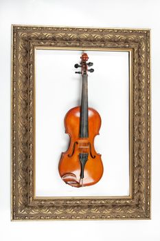 Violin and golden frame on an isolated studio backgound