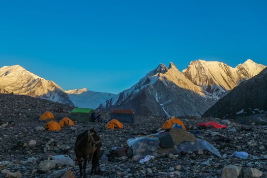 K2 and Broad Peak from Concordia in the Karakorum Mountains Pakistan