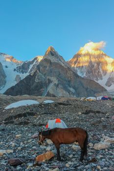 K2 and Broad Peak from Concordia in the Karakorum Mountains Pakistan