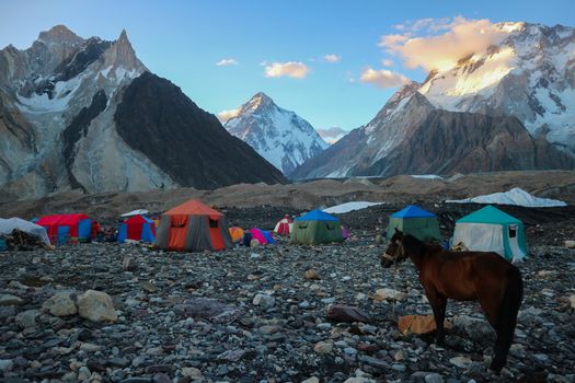 K2 and Broad Peak from Concordia in the Karakorum Mountains Pakistan