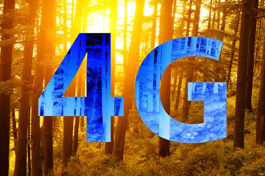 4g text on forest background.