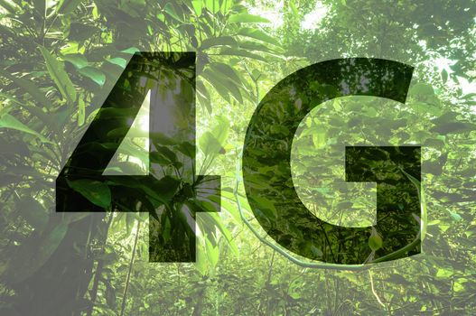 4G text on forest background.