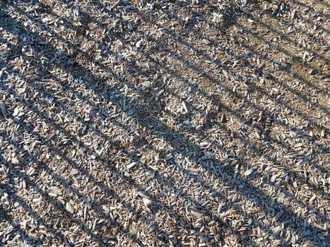 brown mulch or wood chips on ground with shadows