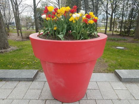 large red flower pot with red, yellow, and white flowers blooming in Quebec, Canada