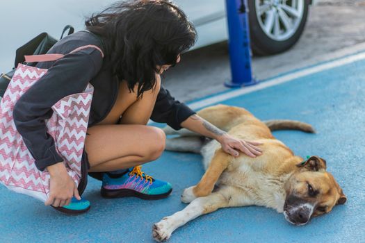 a girl stroking a brown haired sivas kangal dog. photo has taken at izmir/turkey.