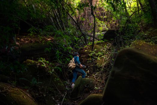 back view photo of girl backpacker travel in rainforest