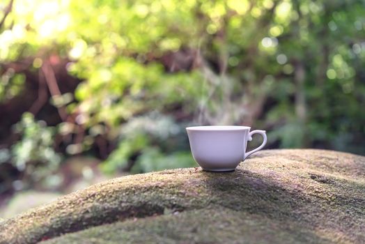 A cup of hot drink on the background of rainforest with mossy rocks in the mountains