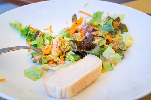 Mixed salad plate with tuna and slice of bread, served at the table with white plate and fork, natural light.