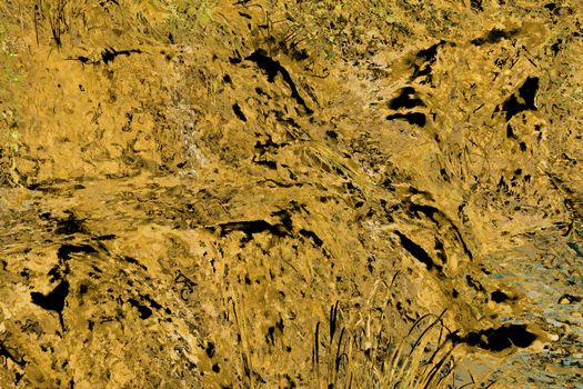 Closeup of rough yellow grunge rock background.