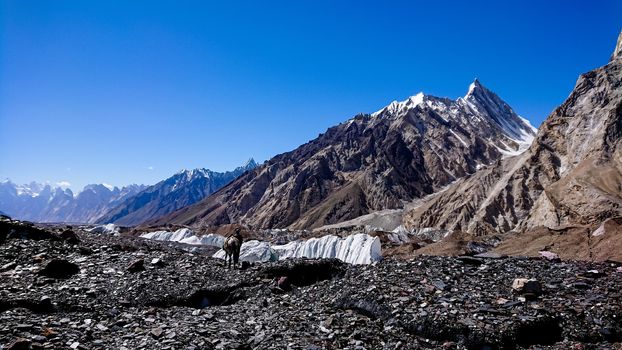 K2 and Broad Peak from Concordia in the Karakorum Mountains Pakistan