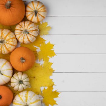 Many colorful pumpkins and maple leaves frame on wooden background , autumn harvest , Halloween or Thanksgiving concept
