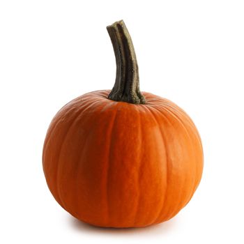 One orange pumpkin isolated on white background, Halloween concept