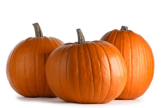 Three perfect orange pumpkins isolated on white background , Halloween concept