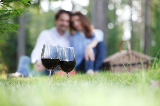 Young beautiful couple on picnic in summer park, focus on wine glasses