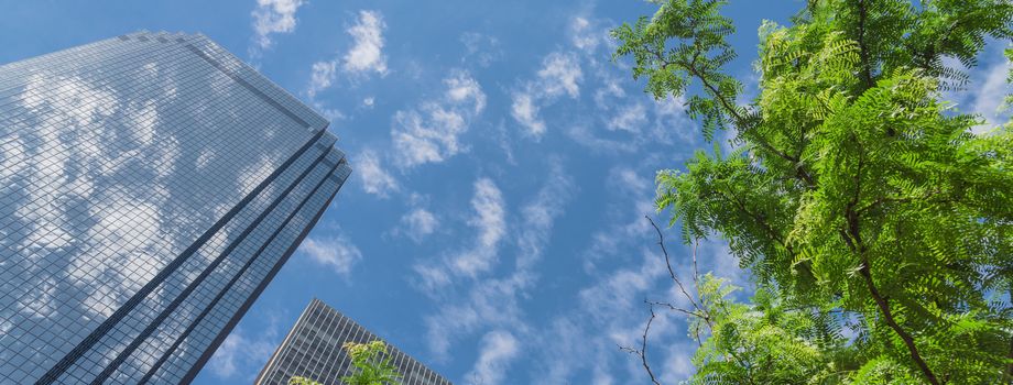 Panorama lookup view of skylines and tall trees in downtown Dallas, Texas, America. Sunny day with cloud blue sky