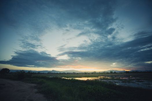 Field of grass during sunset, nature background