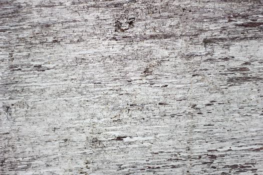 Texture shabby paint on the tree. Old white scratched wooden background. Empty wooden background