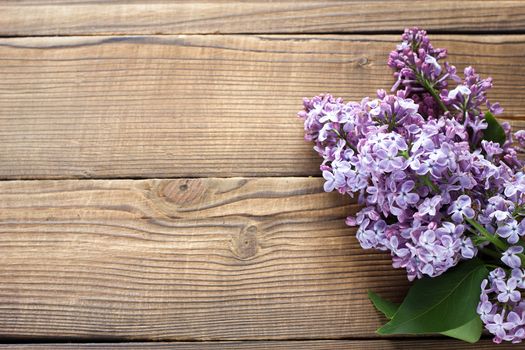 branch of purple lilac on a wooden background. Spring flowers on a wooden background with a place under the inscription.