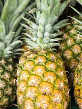 ripe sarawak's pinepaple for sale in serdang night market