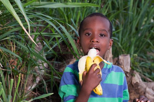 happy little boy eating a banana.