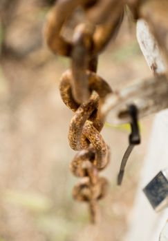 rusty chain and metal lock on the fence gate