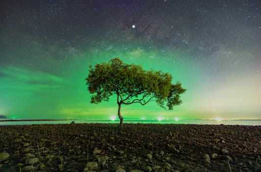 One tree at Chumphon beach, Chumphon province. The movement of clouds and the Milky Way. The mangrove area receives green light from fishing boats.