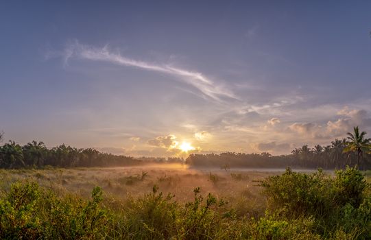 Fog over the grass In the morning Nature along the way in Chumphon Province