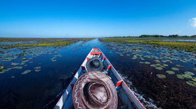 Cruising in the lake, heading straight forward, cruising in the pond with boiling water, afternoon sun, the sky is dark blue.
