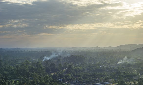 Burning weeds, burning the seedlings of villagers is the cause of wildfire.