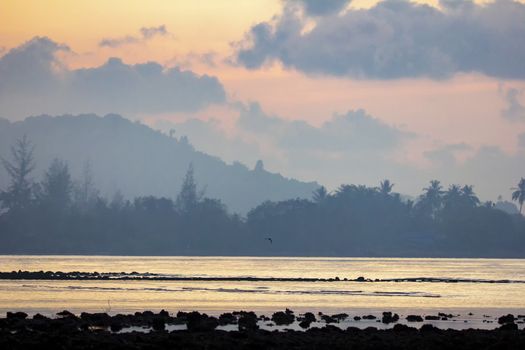 The seaside atmosphere at the early morning. First light before sunrise. mangrove forest.