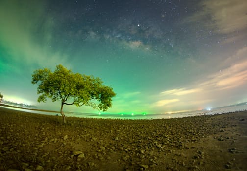 One tree at Chumphon beach, Chumphon province. The movement of clouds and the Milky Way. The mangrove area receives green light from fishing boats.
