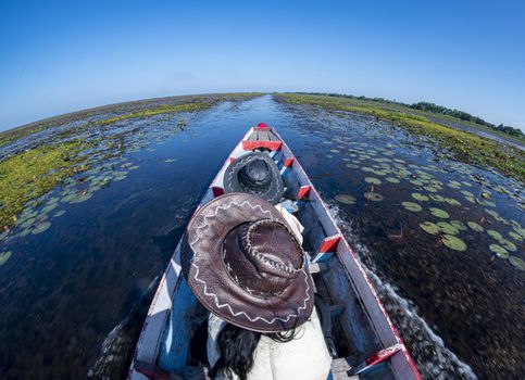 Cruising in the lake, heading straight forward, cruising in the pond with boiling water, afternoon sun, the sky is dark blue.