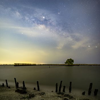The Milky Way above a single tree and the bamboo landscape prevents the sea from breaking the coast.	

