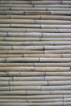 Dry bamboo wall.​ Light brown bamboo in small size, arranged horizontal​. The top surface of the bamboo litter.	

