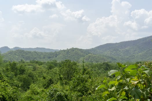 Mountain green tree.​ Blue sky with cloud	