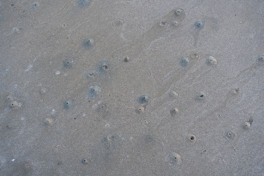 The floating groove of the habitat of Horn-eyed ghost crab or Ocypode on the white sand by the sea	